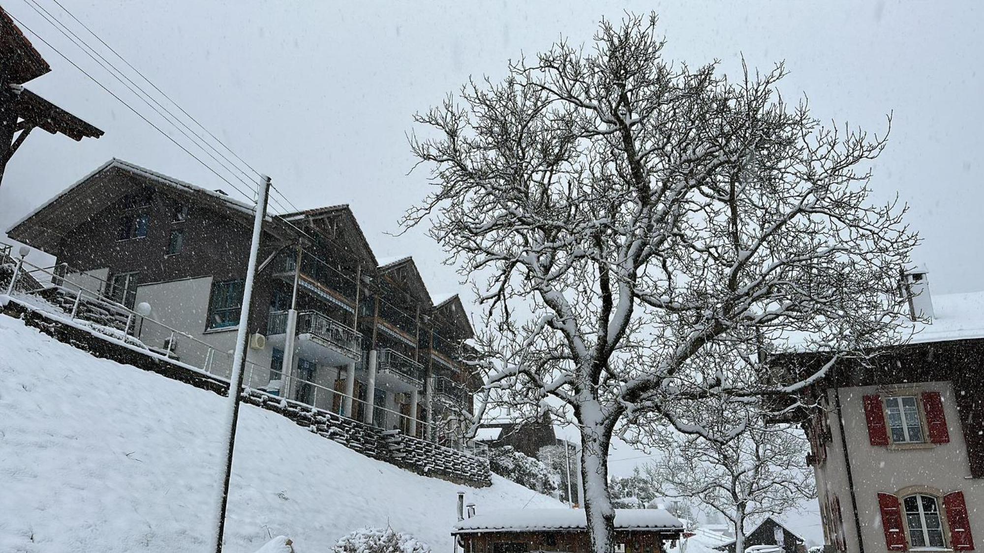 Lake View Residence Niederried bei Interlaken 外观 照片