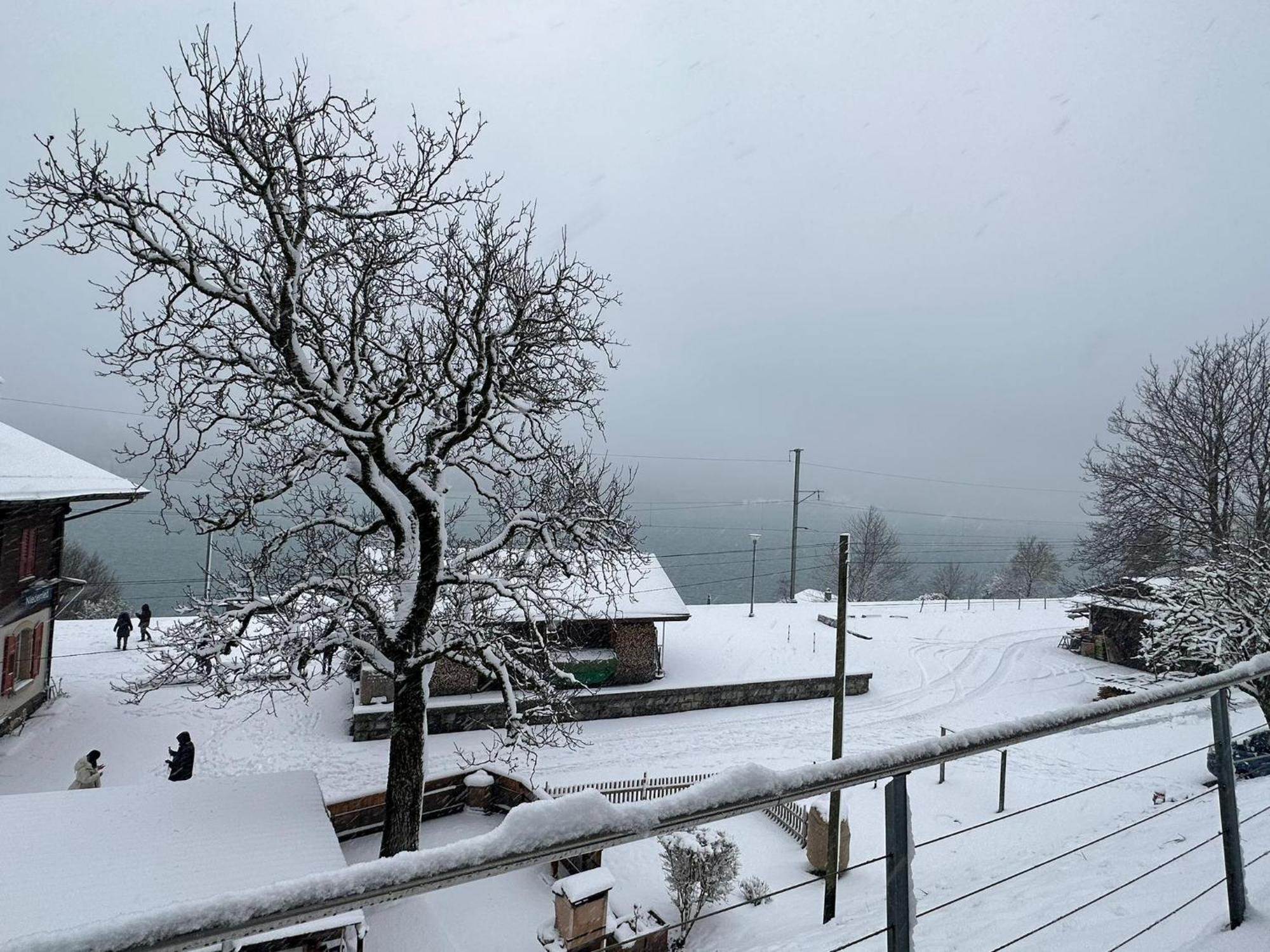 Lake View Residence Niederried bei Interlaken 外观 照片